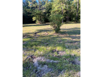 Imagine an absolutely beautiful Home site with an amazing on Sapelo Hammock Golf Club in Georgia - for sale on GolfHomes.com, golf home, golf lot