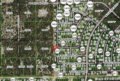 Improved price on this oversized homesite in the fast-growing on Pine Ridge Community Golf and Country Club in Florida - for sale on GolfHomes.com, golf home, golf lot