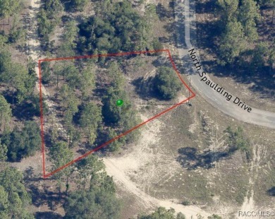Improved price on this oversized homesite in the fast-growing on Pine Ridge Community Golf and Country Club in Florida - for sale on GolfHomes.com, golf home, golf lot