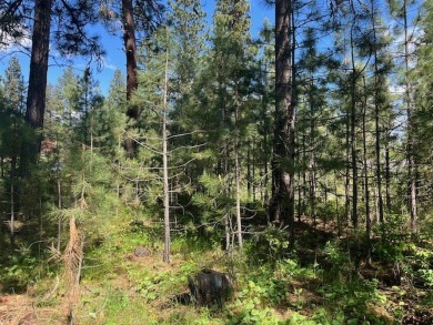 What's not to love about this golf front, level, wooded lot at on Meadowcreek Golf Resort in Idaho - for sale on GolfHomes.com, golf home, golf lot