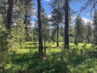 What's not to love about this golf front, level, wooded lot at on Meadowcreek Golf Resort in Idaho - for sale on GolfHomes.com, golf home, golf lot