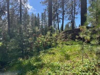 What's not to love about this golf front, level, wooded lot at on Meadowcreek Golf Resort in Idaho - for sale on GolfHomes.com, golf home, golf lot
