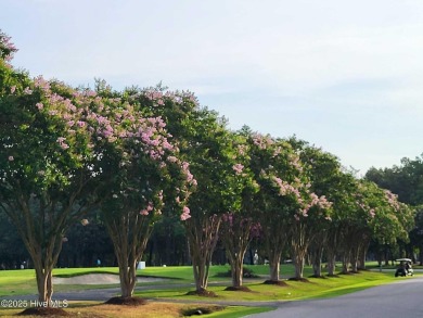 PRICE REDUCED!! What an opportunity to own and build in on Sound Golf Links at Albemarle Plantation in North Carolina - for sale on GolfHomes.com, golf home, golf lot