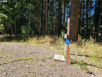 Discover an outdoor enthusiasts paradise at 106 Maple Court! on High Valley Country Club in Washington - for sale on GolfHomes.com, golf home, golf lot