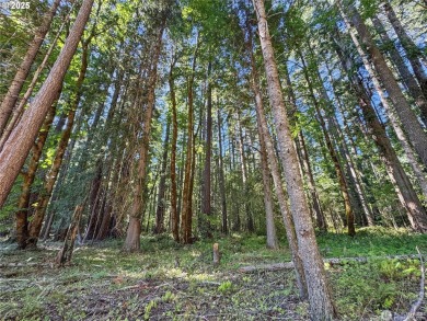 Discover an outdoor enthusiasts paradise at 106 Maple Court! on High Valley Country Club in Washington - for sale on GolfHomes.com, golf home, golf lot