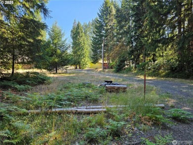 Discover an outdoor enthusiasts paradise at 106 Maple Court! on High Valley Country Club in Washington - for sale on GolfHomes.com, golf home, golf lot