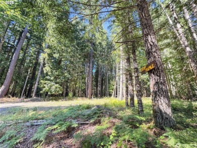 Discover an outdoor enthusiasts paradise at 106 Maple Court! on High Valley Country Club in Washington - for sale on GolfHomes.com, golf home, golf lot