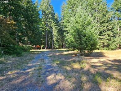 Discover an outdoor enthusiasts paradise at 106 Maple Court! on High Valley Country Club in Washington - for sale on GolfHomes.com, golf home, golf lot