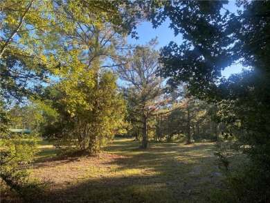 Imagine an absolutely beautiful Home site with an amazing on Sapelo Hammock Golf Club in Georgia - for sale on GolfHomes.com, golf home, golf lot