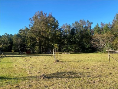 Imagine an absolutely beautiful Home site with an amazing on Sapelo Hammock Golf Club in Georgia - for sale on GolfHomes.com, golf home, golf lot