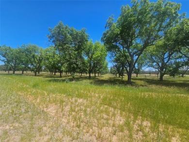 Howdy! Welcome to The Ranches neighborhood of Pecan Plantation on Pecan Plantation Country Club in Texas - for sale on GolfHomes.com, golf home, golf lot