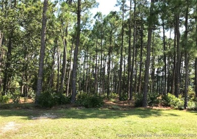 Breathtaking waterfront property within the exclusive Pinewild on Pinewild Country Club of Pinehurst in North Carolina - for sale on GolfHomes.com, golf home, golf lot