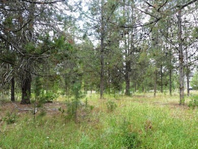 Beautiful lot with great location on Jug Mtn Ranch Golf Course on Jug Mountain Ranch Golf Course in Idaho - for sale on GolfHomes.com, golf home, golf lot
