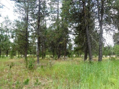 Beautiful lot with great location on Jug Mtn Ranch Golf Course on Jug Mountain Ranch Golf Course in Idaho - for sale on GolfHomes.com, golf home, golf lot