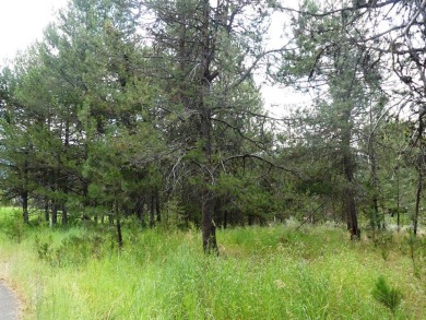 Beautiful lot with great location on Jug Mtn Ranch Golf Course on Jug Mountain Ranch Golf Course in Idaho - for sale on GolfHomes.com, golf home, golf lot