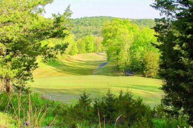 Beautiful and big, half acre, corner residential lot in the on Ledgestone Country Club and Golf Course in Missouri - for sale on GolfHomes.com, golf home, golf lot