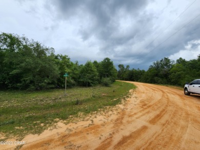 Looking for privacy? Escape the hustle and bustle of city life! on  in Florida - for sale on GolfHomes.com, golf home, golf lot