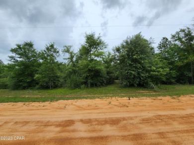 Looking for privacy? Escape the hustle and bustle of city life! on  in Florida - for sale on GolfHomes.com, golf home, golf lot