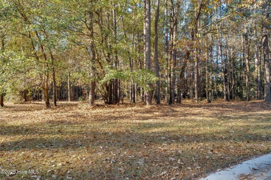 Unlock the potential of this nearly half-acre homesite in the on River Landing Golf Course in North Carolina - for sale on GolfHomes.com, golf home, golf lot