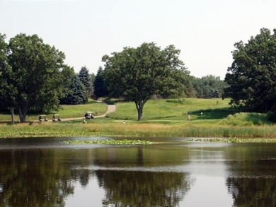 Peaceful and secluded setting on Tullymore Lake! This walkout on Tullymore Golf Club in Michigan - for sale on GolfHomes.com, golf home, golf lot