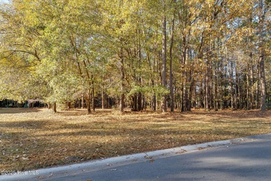 Unlock the potential of this nearly half-acre homesite in the on River Landing Golf Course in North Carolina - for sale on GolfHomes.com, golf home, golf lot