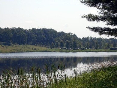 Peaceful and secluded setting on Tullymore Lake! This walkout on Tullymore Golf Club in Michigan - for sale on GolfHomes.com, golf home, golf lot