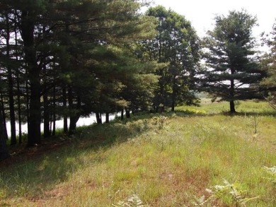 Peaceful and secluded setting on Tullymore Lake! This walkout on Tullymore Golf Club in Michigan - for sale on GolfHomes.com, golf home, golf lot