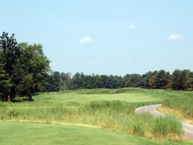 Peaceful and secluded setting on Tullymore Lake! This walkout on Tullymore Golf Club in Michigan - for sale on GolfHomes.com, golf home, golf lot