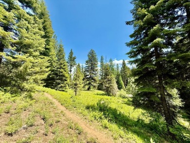 Premier .90-acre estate homesite in the heart of Tamarack Resort on Osprey Meadows at Tamarack Resort in Idaho - for sale on GolfHomes.com, golf home, golf lot