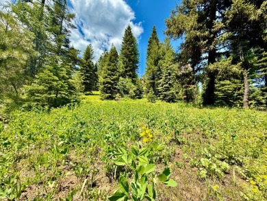 Premier .90-acre estate homesite in the heart of Tamarack Resort on Osprey Meadows at Tamarack Resort in Idaho - for sale on GolfHomes.com, golf home, golf lot