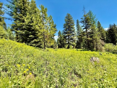 Premier .90-acre estate homesite in the heart of Tamarack Resort on Osprey Meadows at Tamarack Resort in Idaho - for sale on GolfHomes.com, golf home, golf lot