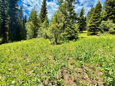 Premier .90-acre estate homesite in the heart of Tamarack Resort on Osprey Meadows at Tamarack Resort in Idaho - for sale on GolfHomes.com, golf home, golf lot