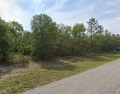 Tranquil (no flood zone) homesite in Citrus Springs. No HOA! on Citrus Springs Country Club in Florida - for sale on GolfHomes.com, golf home, golf lot