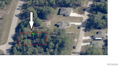 Tranquil (no flood zone) homesite in Citrus Springs. No HOA! on Citrus Springs Country Club in Florida - for sale on GolfHomes.com, golf home, golf lot