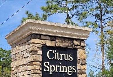 Tranquil (no flood zone) homesite in Citrus Springs. No HOA! on Citrus Springs Country Club in Florida - for sale on GolfHomes.com, golf home, golf lot