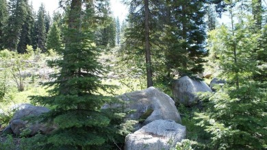 Conveniently located in desirable Aspen Ridge Sub .48 acre lot on McCall Municipal Golf Course in Idaho - for sale on GolfHomes.com, golf home, golf lot