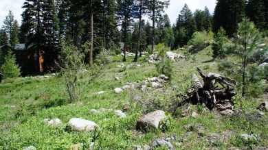 Conveniently located in desirable Aspen Ridge Sub .48 acre lot on McCall Municipal Golf Course in Idaho - for sale on GolfHomes.com, golf home, golf lot