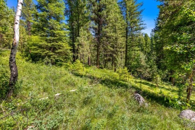 Mountain Estate lots in Jug Mountain Ranch. New homesites in on Jug Mountain Ranch Golf Course in Idaho - for sale on GolfHomes.com, golf home, golf lot