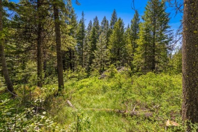 Mountain Estate lots in Jug Mountain Ranch. New homesites in on Jug Mountain Ranch Golf Course in Idaho - for sale on GolfHomes.com, golf home, golf lot