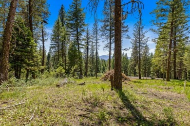 Mountain Estate lots in Jug Mountain Ranch. New homesites in on Jug Mountain Ranch Golf Course in Idaho - for sale on GolfHomes.com, golf home, golf lot