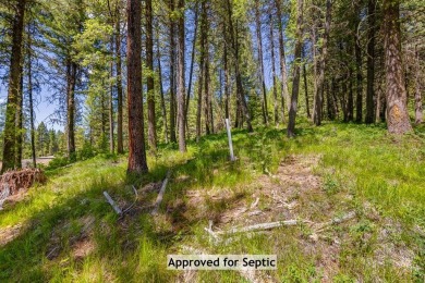 Mountain Estate lots in Jug Mountain Ranch. New homesites in on Jug Mountain Ranch Golf Course in Idaho - for sale on GolfHomes.com, golf home, golf lot