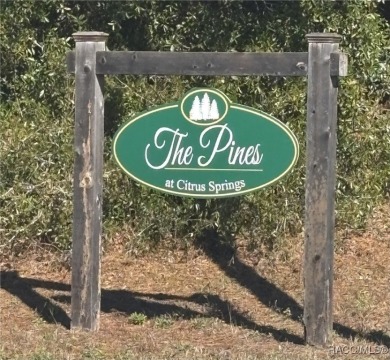 Brand New Quality Built Construction in Timber Pines at Citrus on Citrus Springs Country Club in Florida - for sale on GolfHomes.com, golf home, golf lot