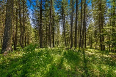 Mountain Estate lots in Jug Mountain Ranch. New homesites in on Jug Mountain Ranch Golf Course in Idaho - for sale on GolfHomes.com, golf home, golf lot
