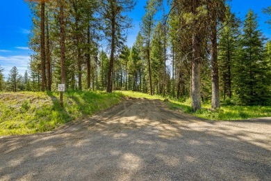 Mountain Estate lots in Jug Mountain Ranch. New homesites in on Jug Mountain Ranch Golf Course in Idaho - for sale on GolfHomes.com, golf home, golf lot