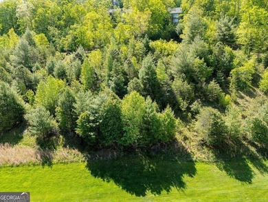 Waterfall Country Club-Golf Course frontage. 2 lots being sold on Waterfall Country Club in Georgia - for sale on GolfHomes.com, golf home, golf lot