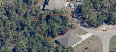Wooded .28 acre parcel located in a cul-de-sac in Sugarmill on Sugarmill Woods Golf and Country Club in Florida - for sale on GolfHomes.com, golf home, golf lot