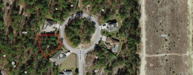 Wooded .28 acre parcel located in a cul-de-sac in Sugarmill on Sugarmill Woods Golf and Country Club in Florida - for sale on GolfHomes.com, golf home, golf lot