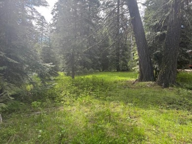 DESIRABLE ROYAL SCOT location next to Tamarack Resort.  1/2 acre on Osprey Meadows at Tamarack Resort in Idaho - for sale on GolfHomes.com, golf home, golf lot