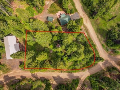 DESIRABLE ROYAL SCOT location next to Tamarack Resort.  1/2 acre on Osprey Meadows at Tamarack Resort in Idaho - for sale on GolfHomes.com, golf home, golf lot