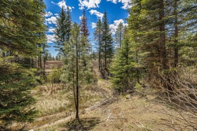 Flat, build-ready lot bordering Tamarack land with direct access on Osprey Meadows at Tamarack Resort in Idaho - for sale on GolfHomes.com, golf home, golf lot
